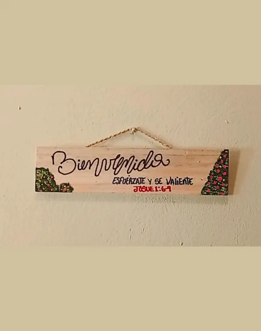 Cuadros entrada artesanales