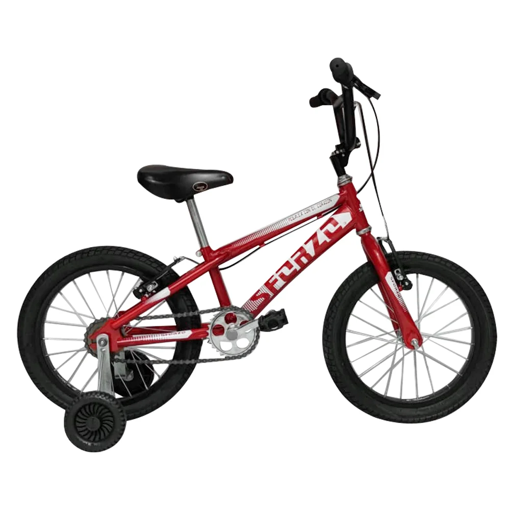 Bicicleta Rin20 Con apoyo  4