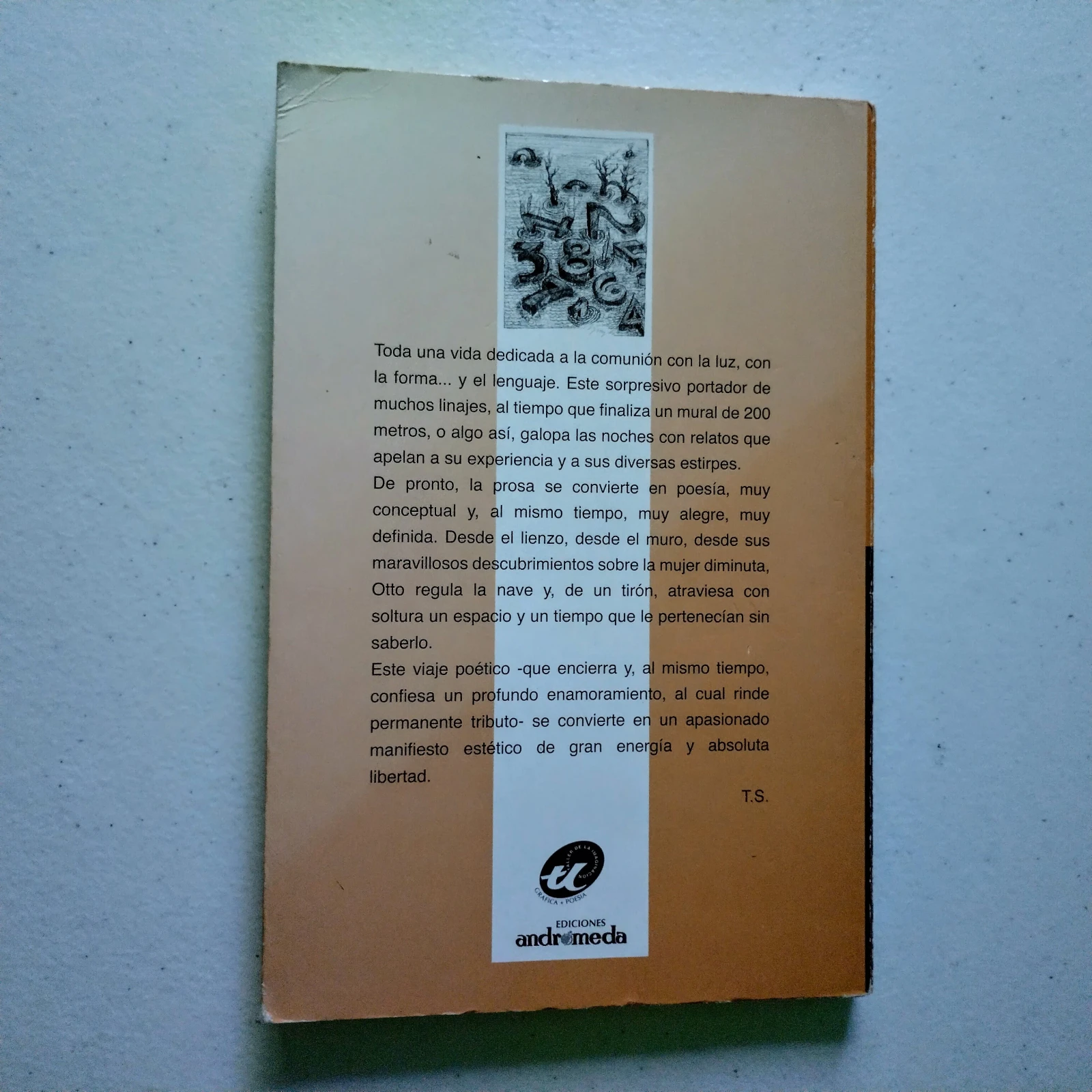 Modelo para devolver el día y la noche, Otto Apuy, usado 2