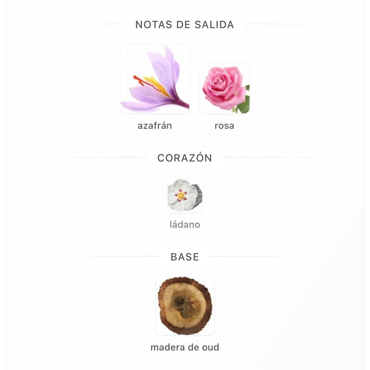 1.1 – Boss Bottled Oud Saffron - Hugo Boss – Hombre  2