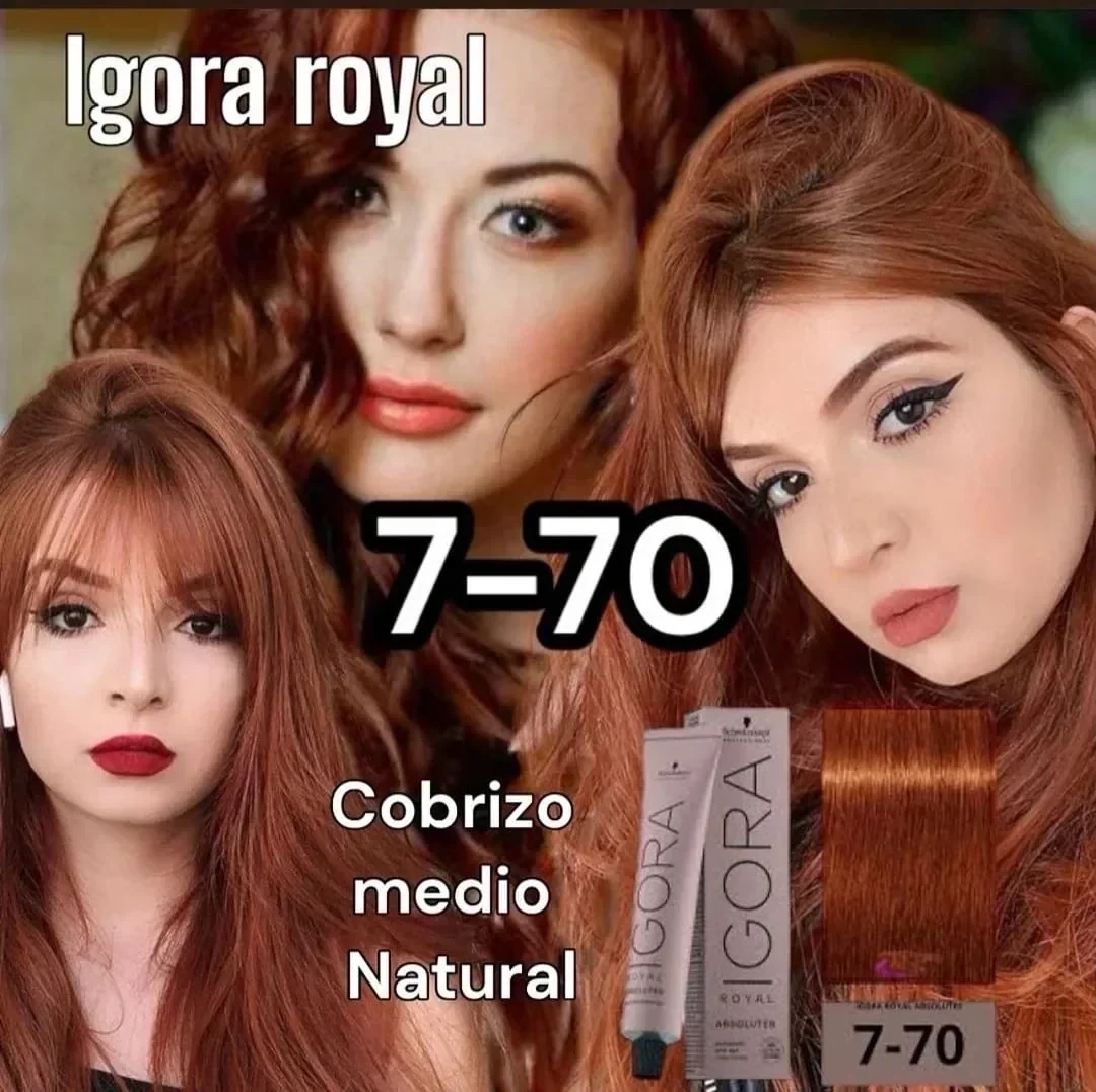 igora 7.70 tinte rubio medio cobrizo natural
