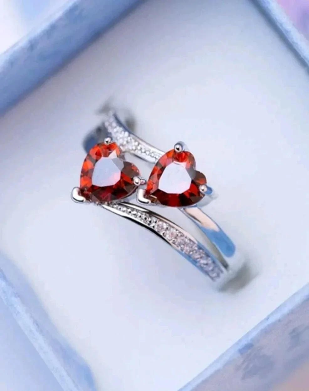 Anillo 2