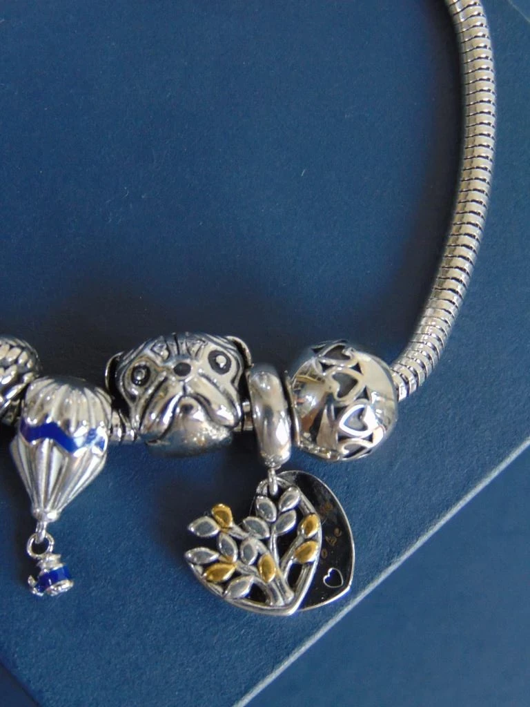 PULSERA ACERO PLATE TIPO PANDORA HOGAR 3