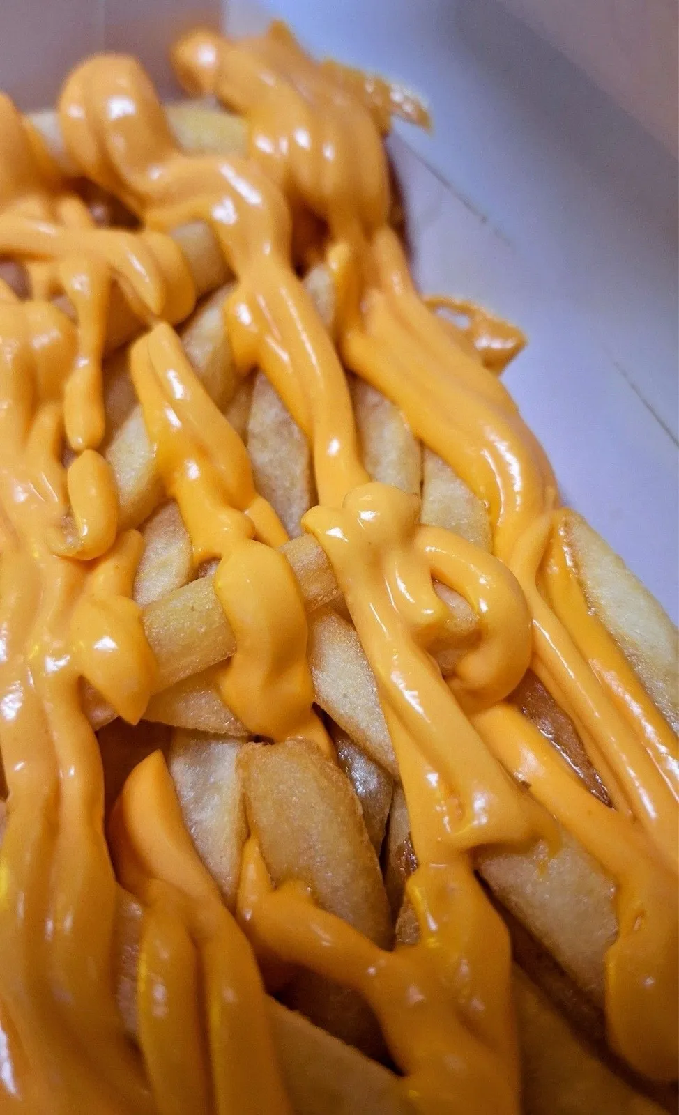 PAPAS CHEDDAR  2