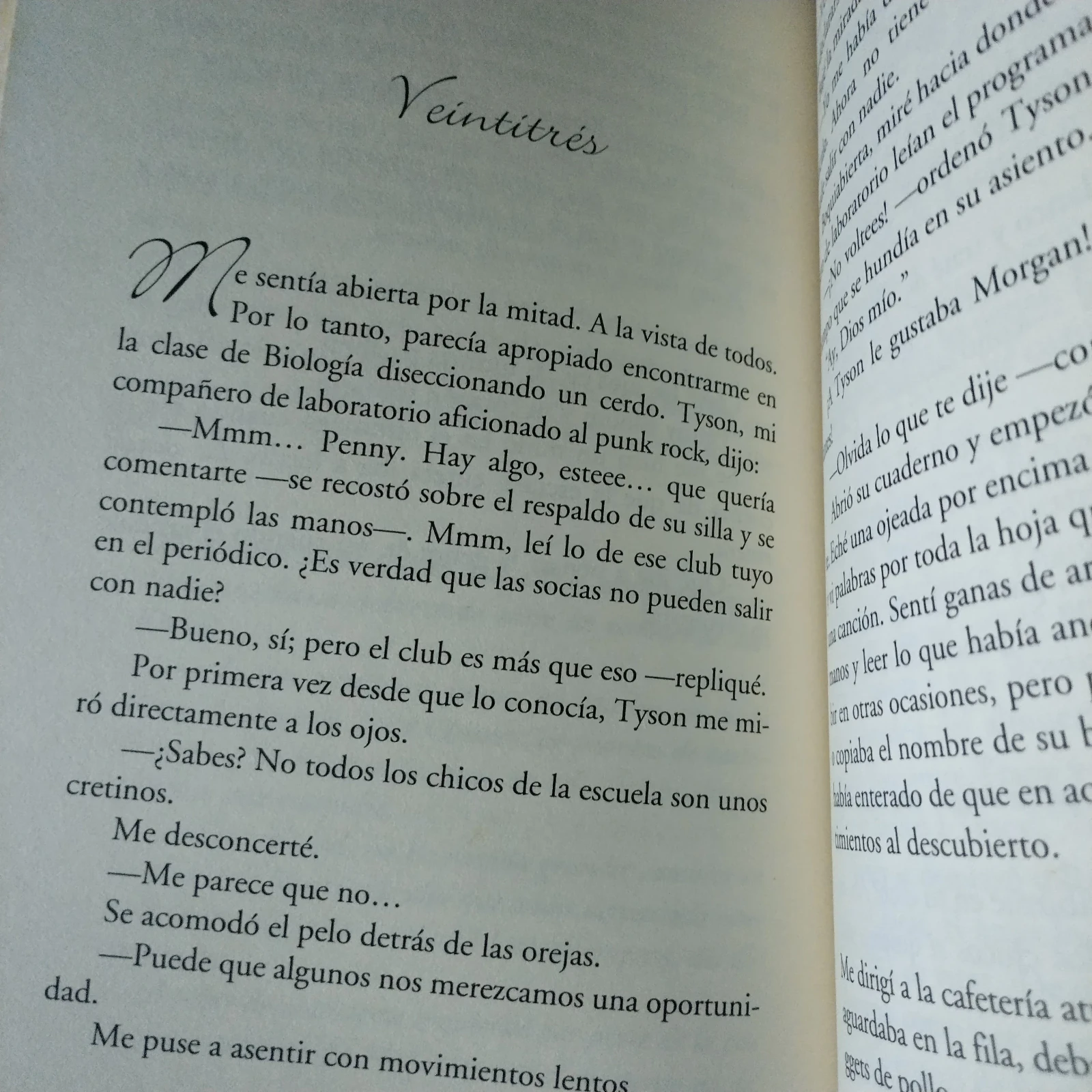 El club de los corazones solitarios, Elizabeth Eulberg, usado 3