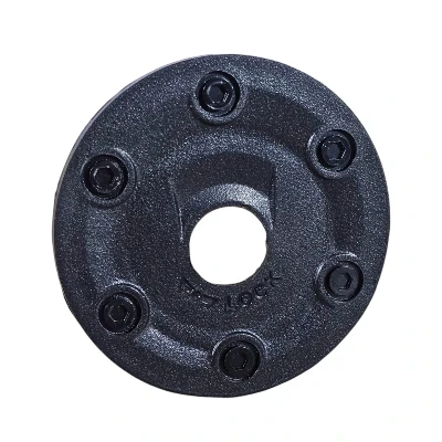 GAPL BWS 125 Tapa Tanque L