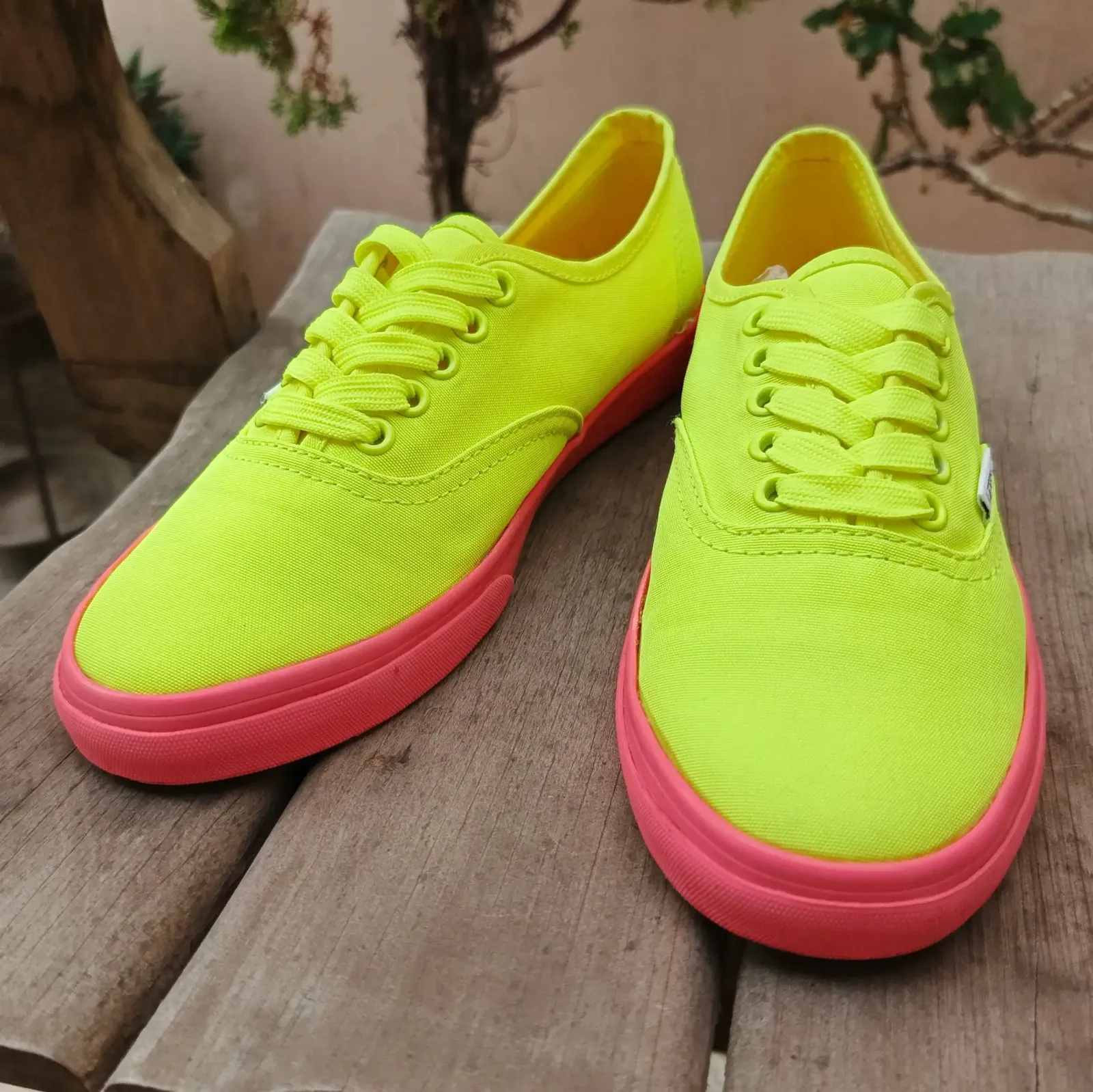Vans 2