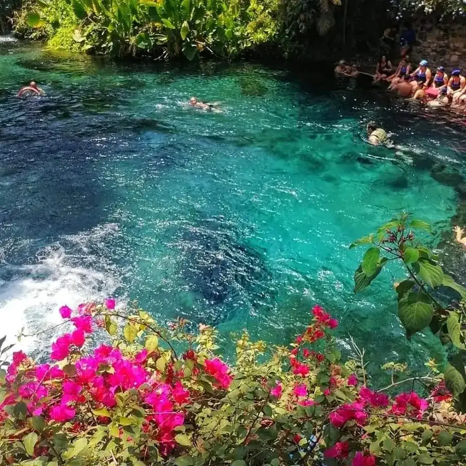 PARQUE NATURAL LAS ESTACAS, MOR, CAMPING 4