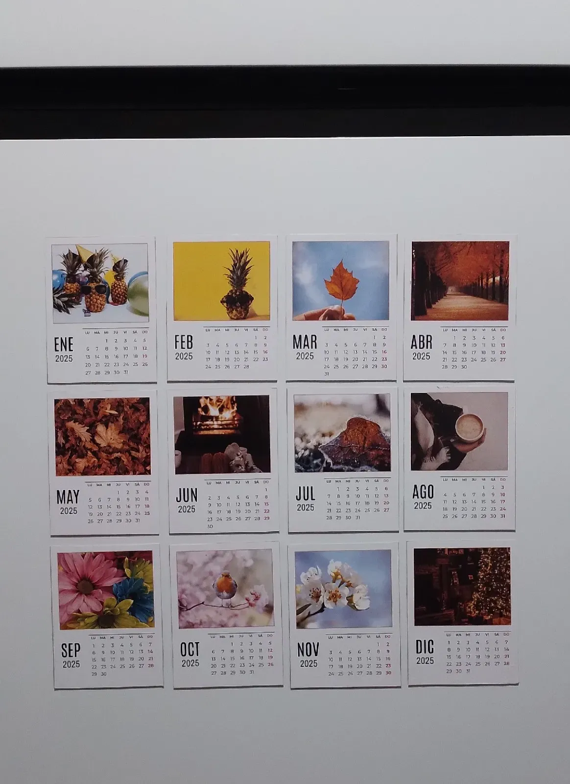 Calendario Polaroid 12 meses.