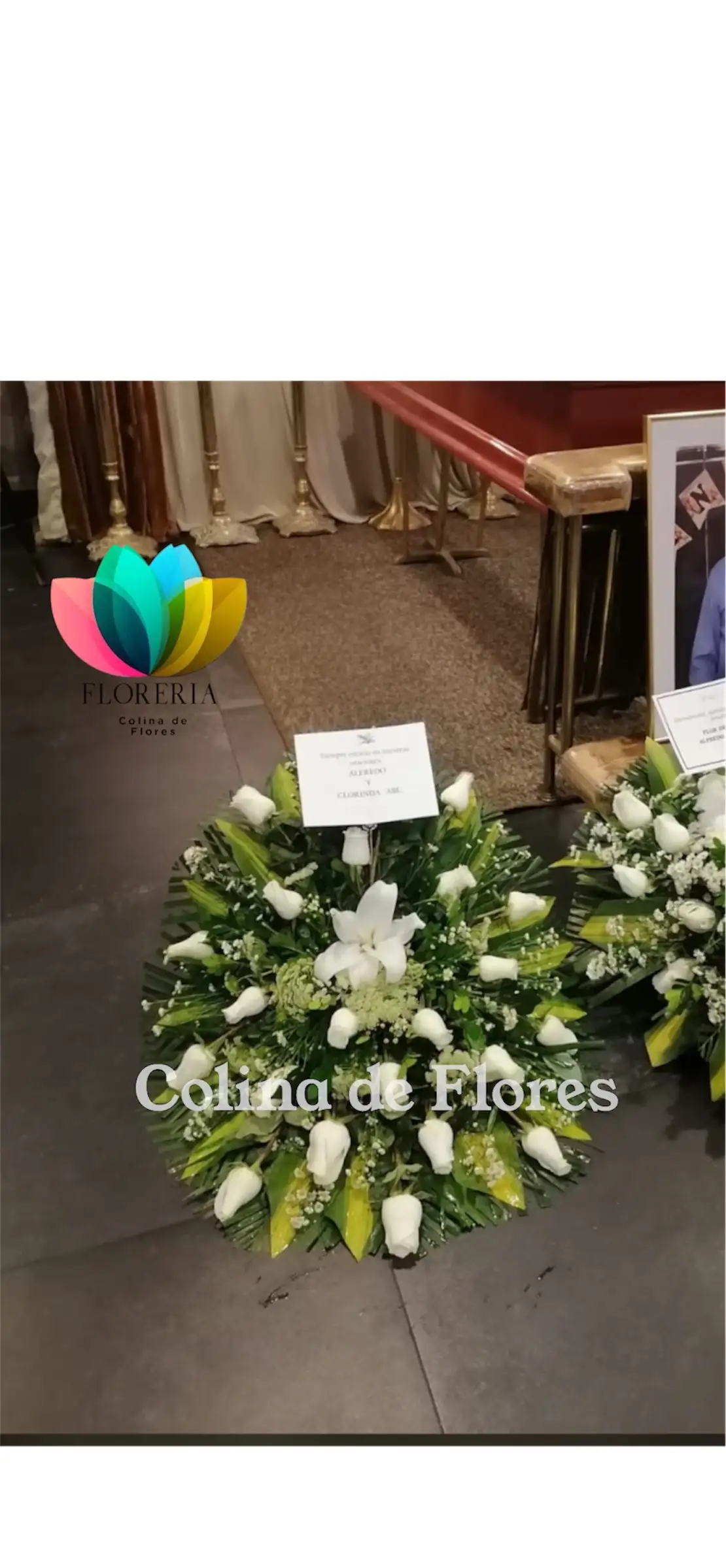 Lágrima blanca 