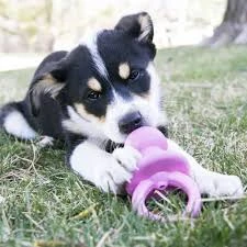 Kong Puppy Binkie small rosado 2