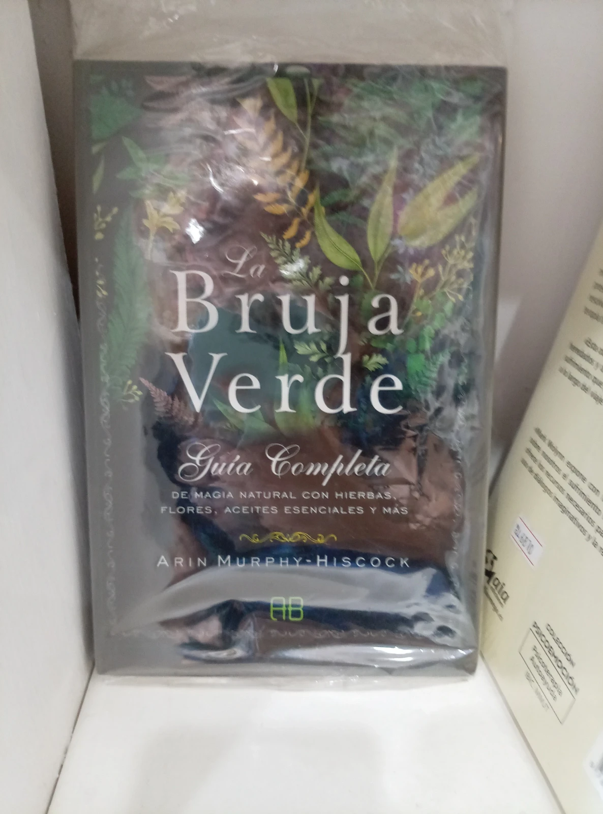 La bruja verde 