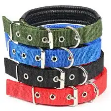 COLLAR REFORZADO ORTOPÉDICO PARA PERROS  2