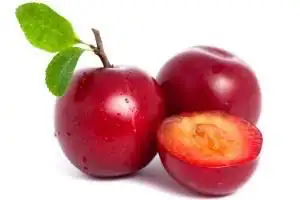 Ciruel española 
