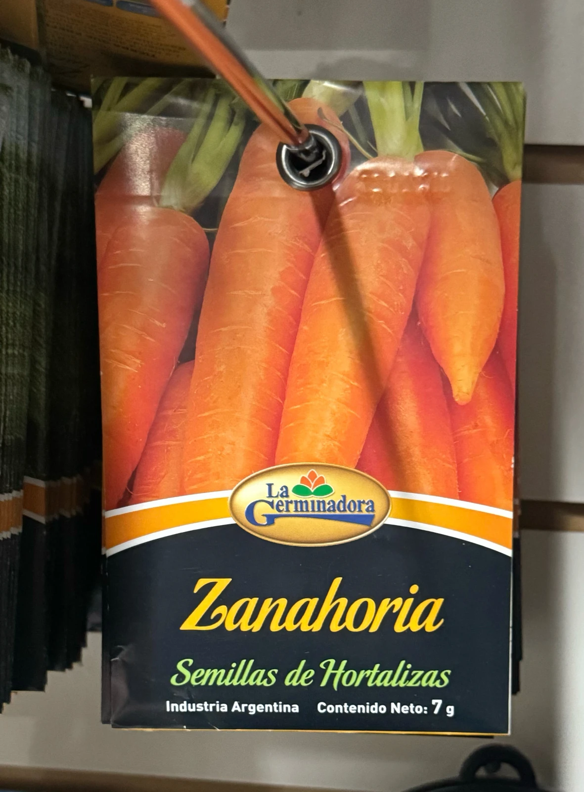 Zanahoria semillas de verduras 
