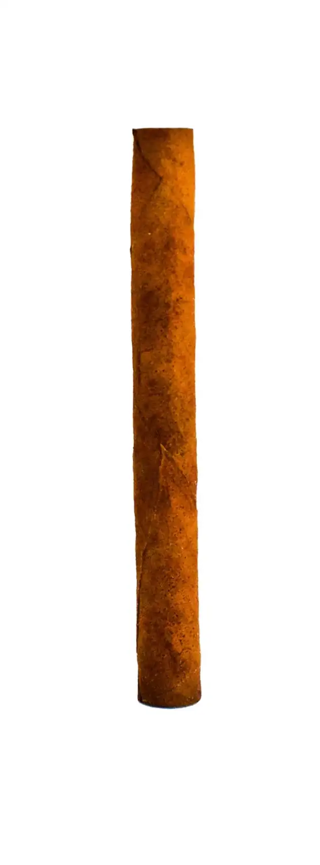 Neos Pacific X50u 3