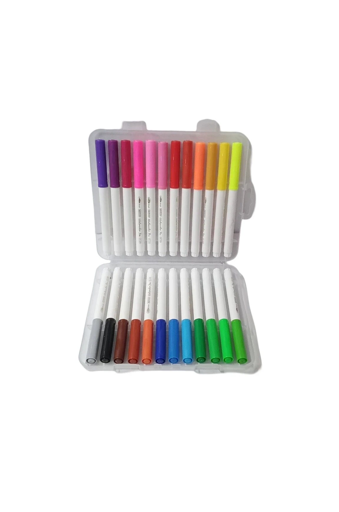 Plumin water color con 24 2