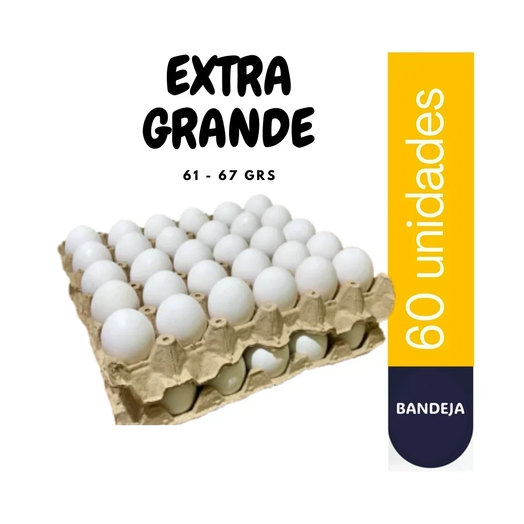 BANDEJAS EXTRA GRANDE 60U