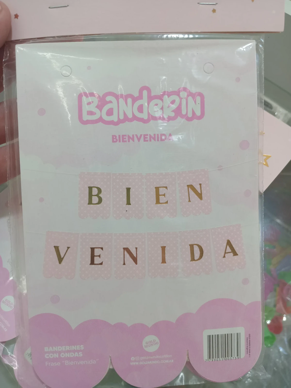 BANDERIN BIENVENIDA