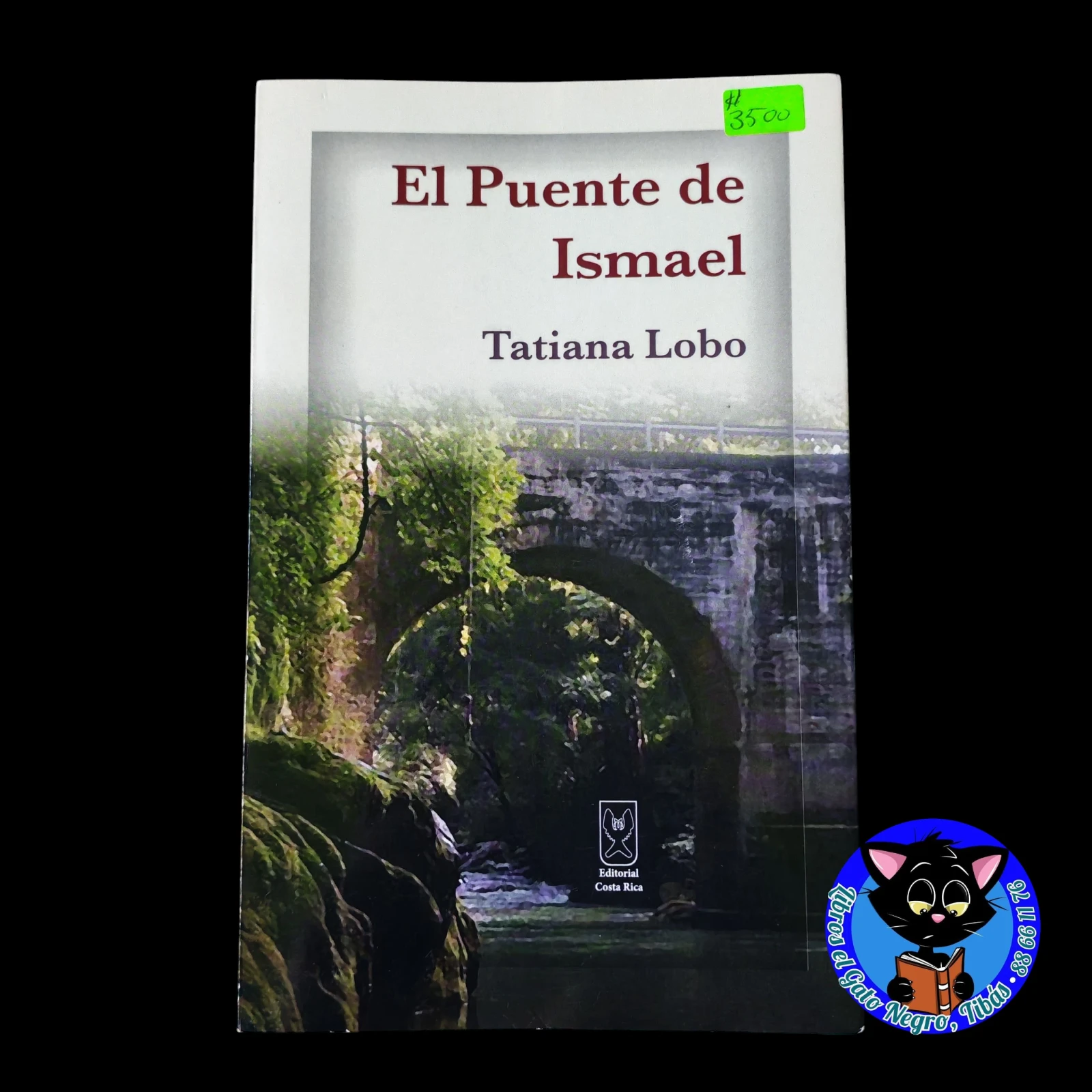 El puente de Ismael , Tatiana Lobo usado 