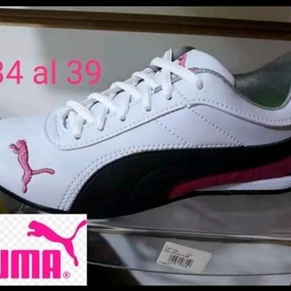 Puma  3