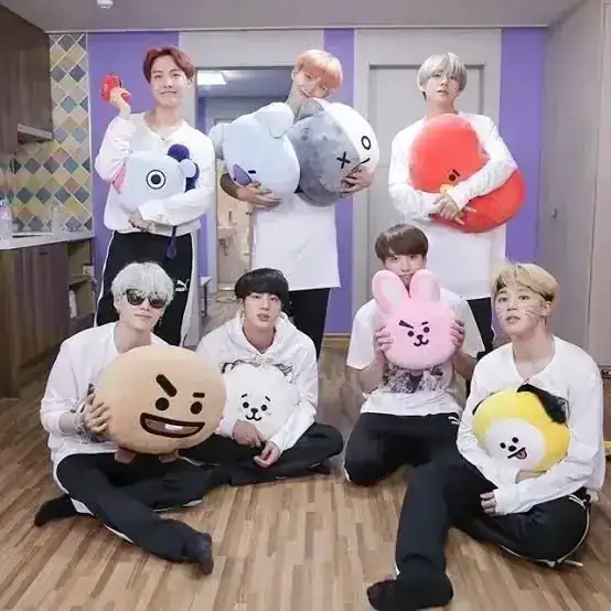 Cojin Grande BT21 2