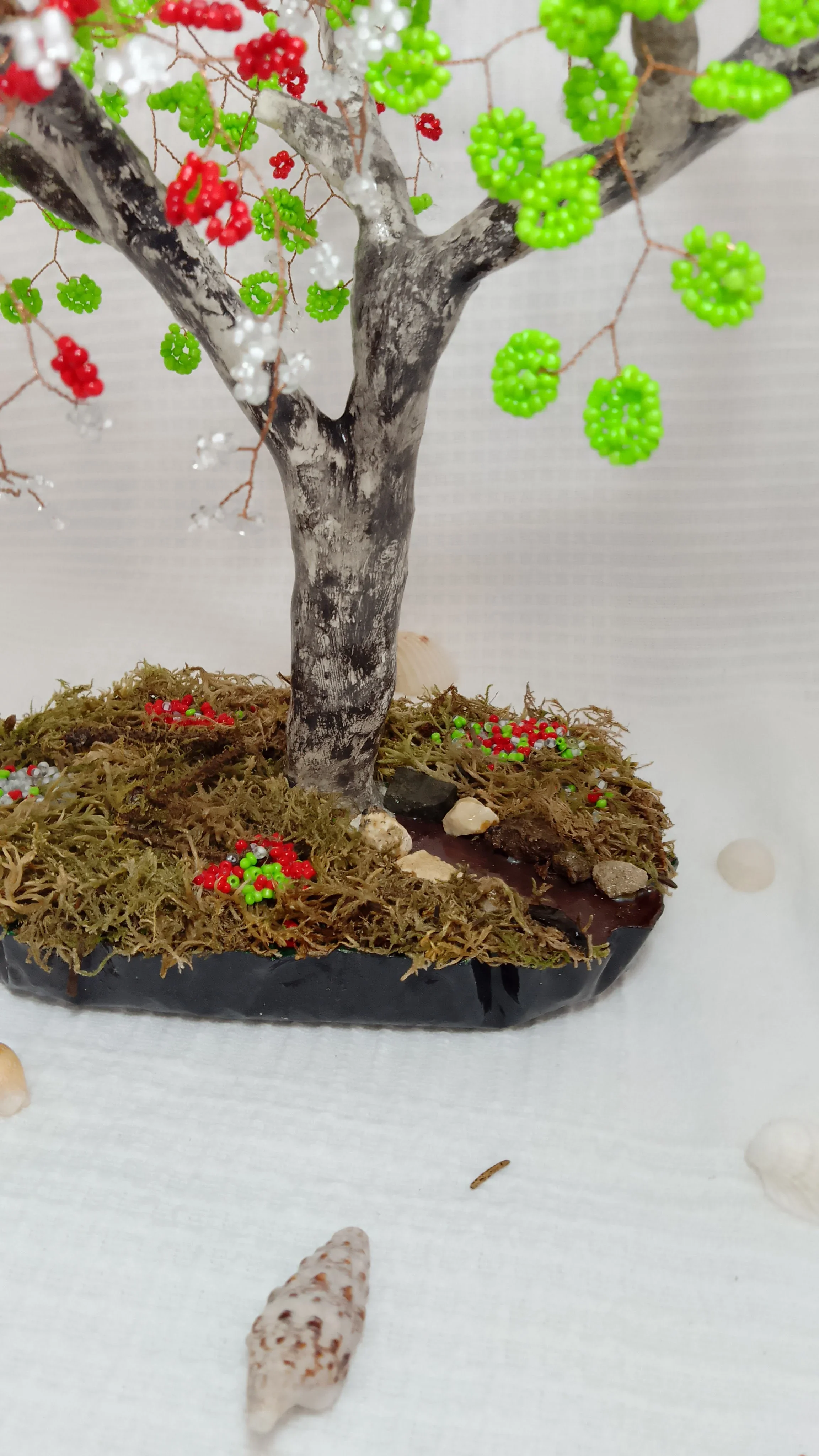 Bonsai Primavera roja 2