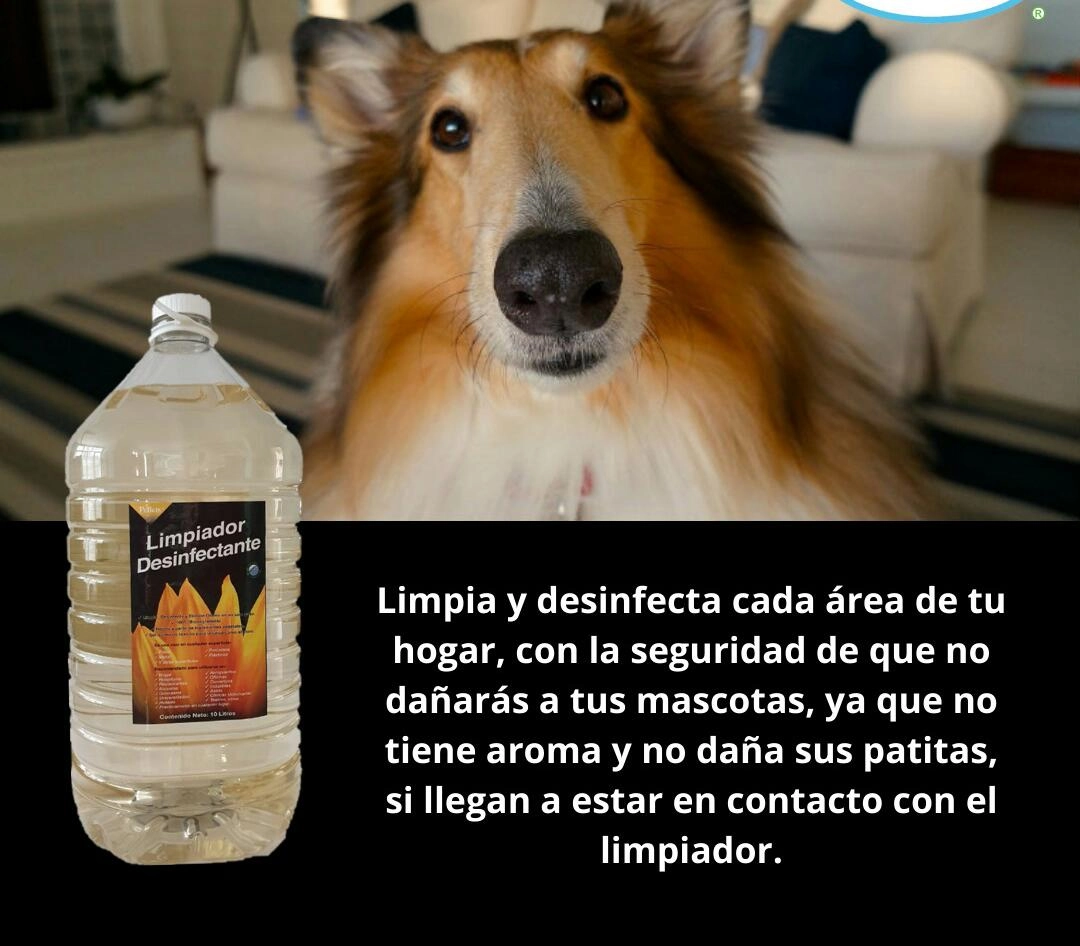 MayLimpiador desinfectante 10 L
