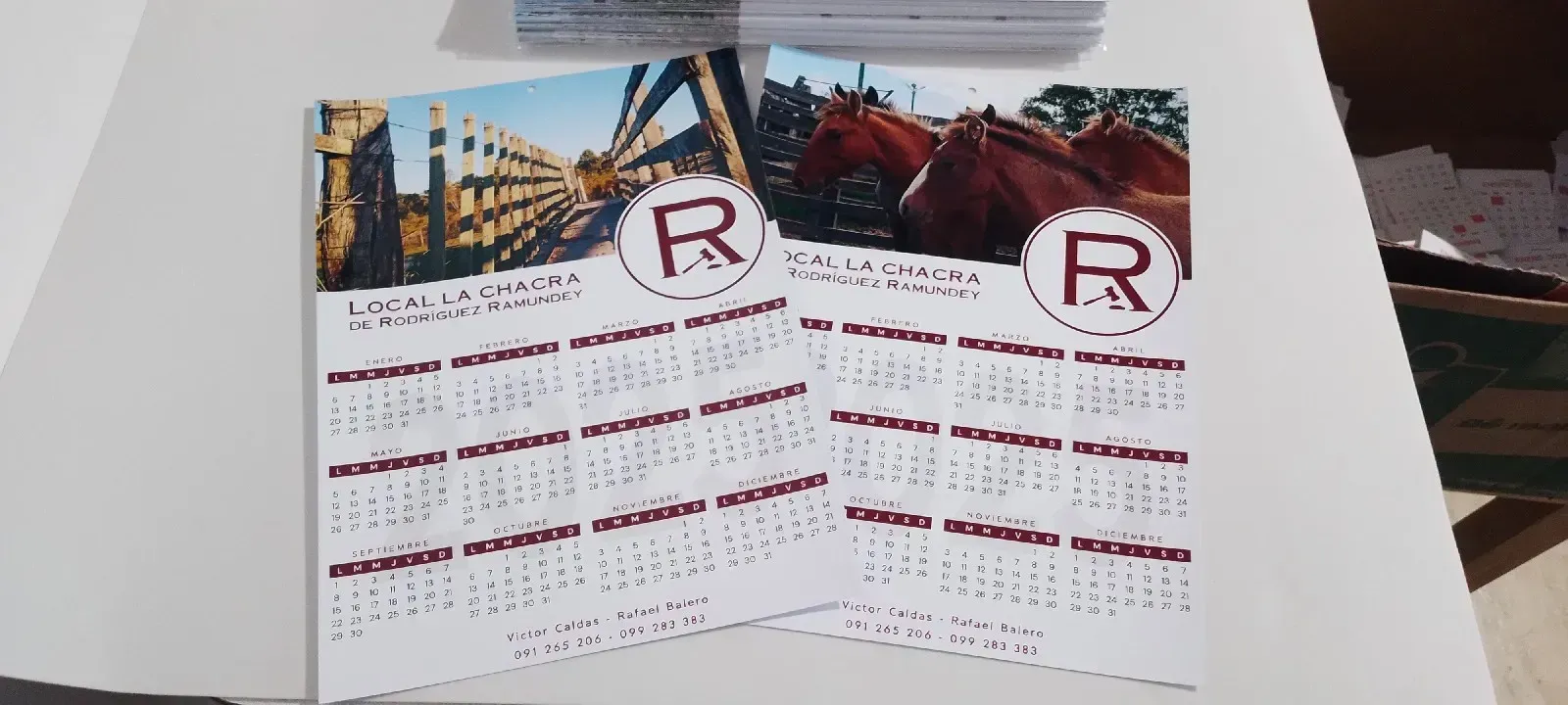 Calendario de pared pack por 50 unidades  2