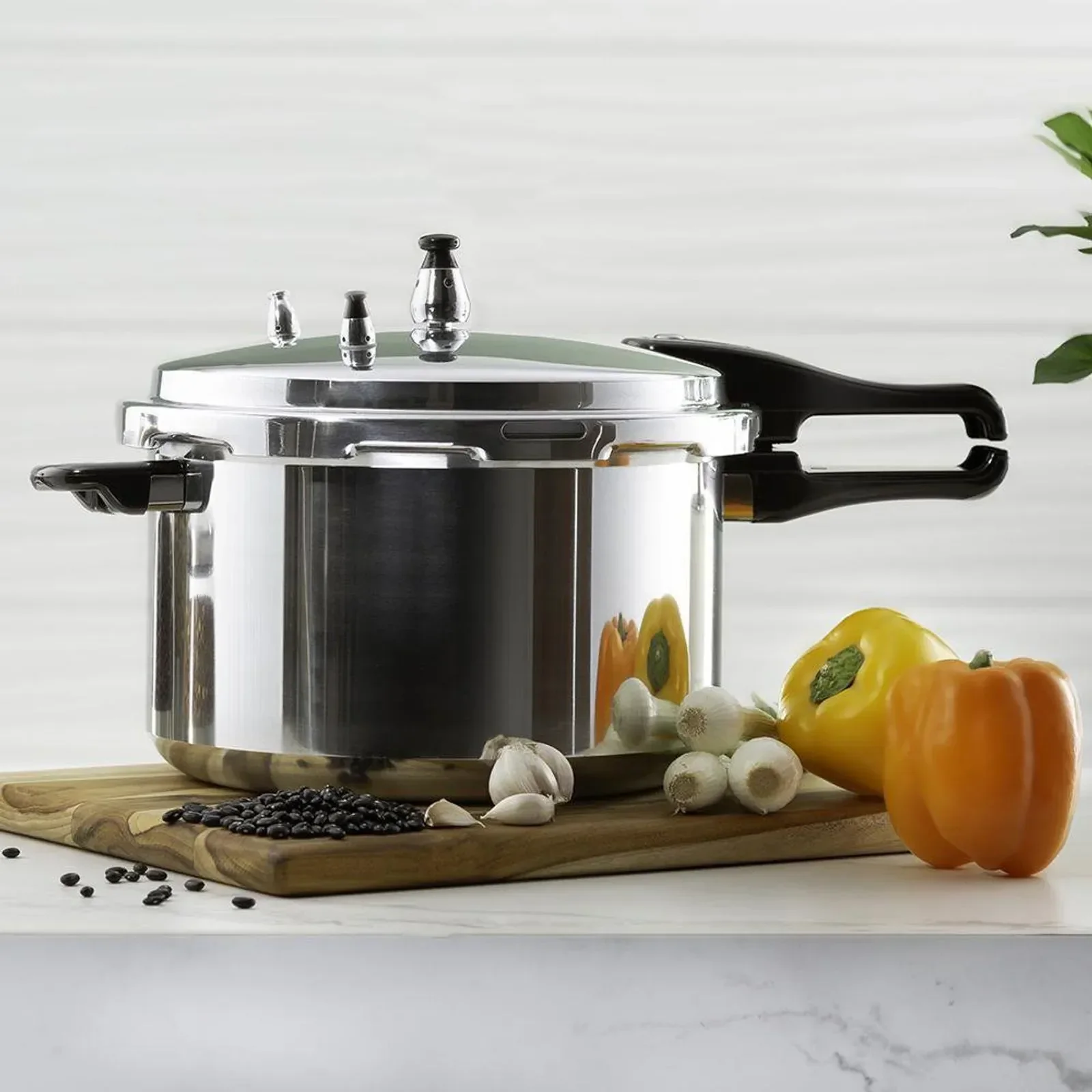 Olla de Presión de 9 LITROS 2
