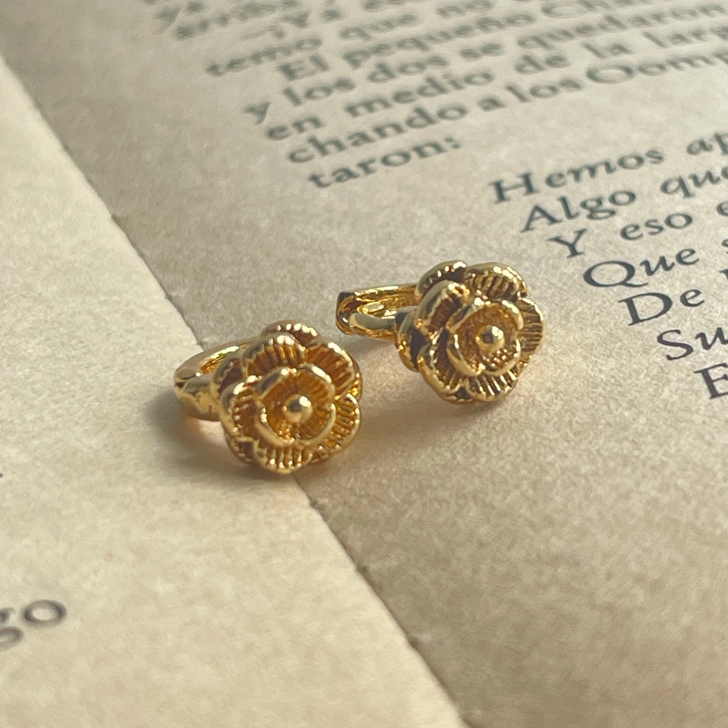 Mini Hoops Rosa