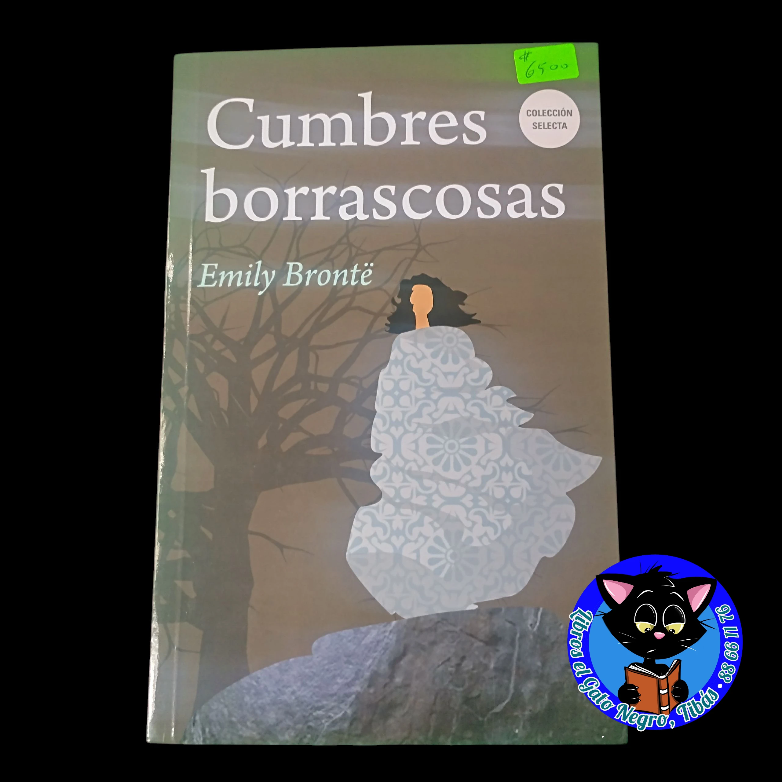 Cumbres Borrascosas Emily Bronte, nuevo