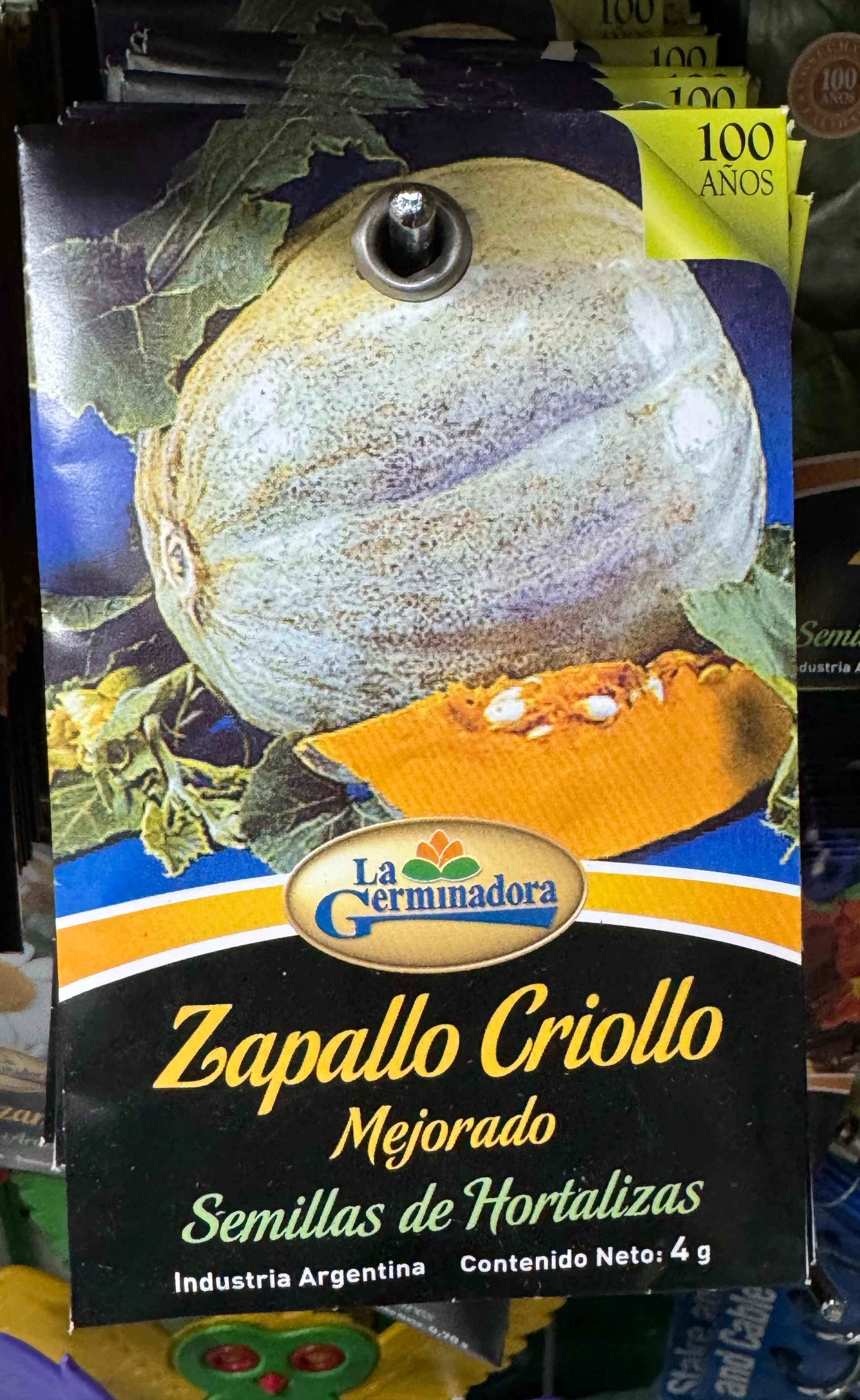 Zapallo criollo 
