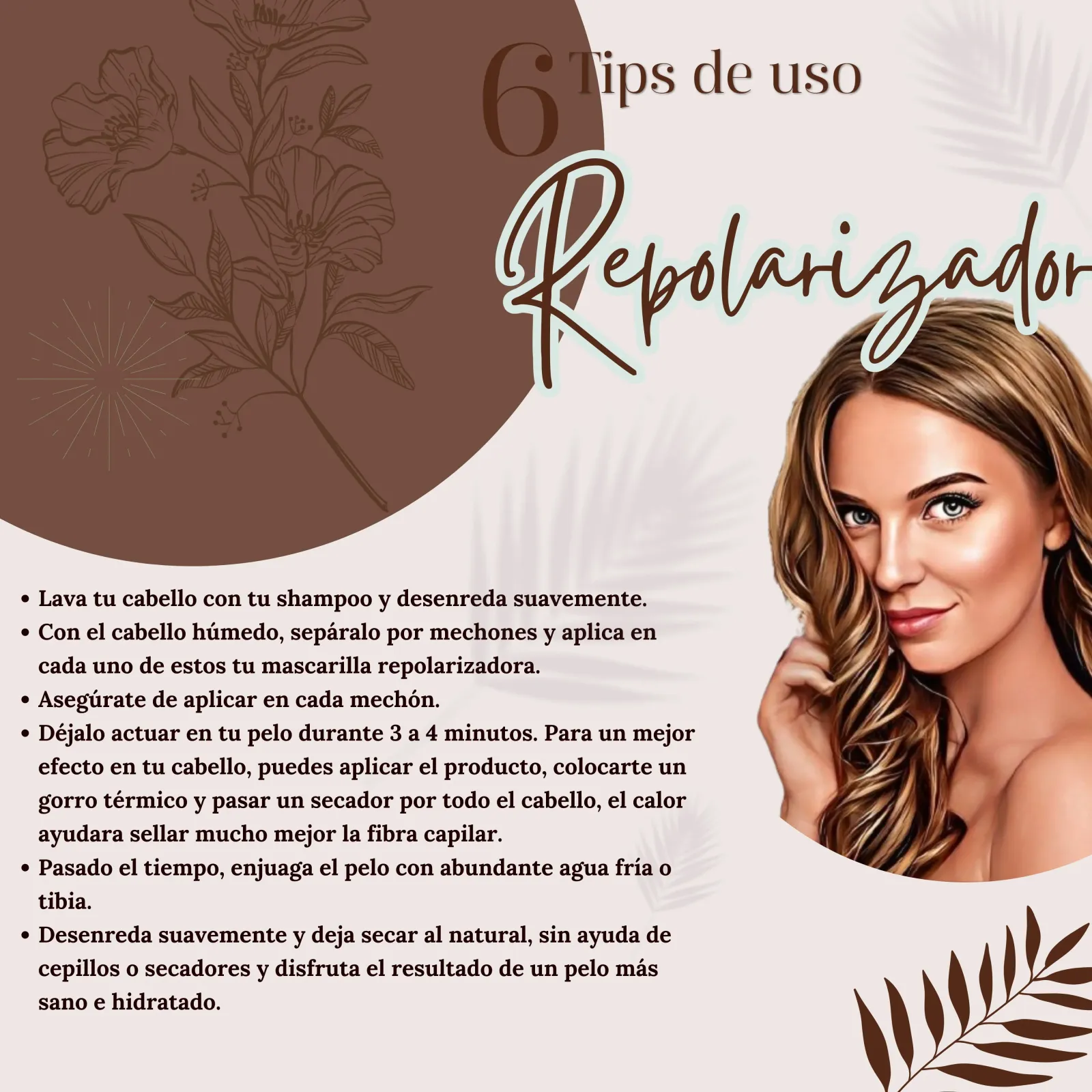 Repolarizador 2