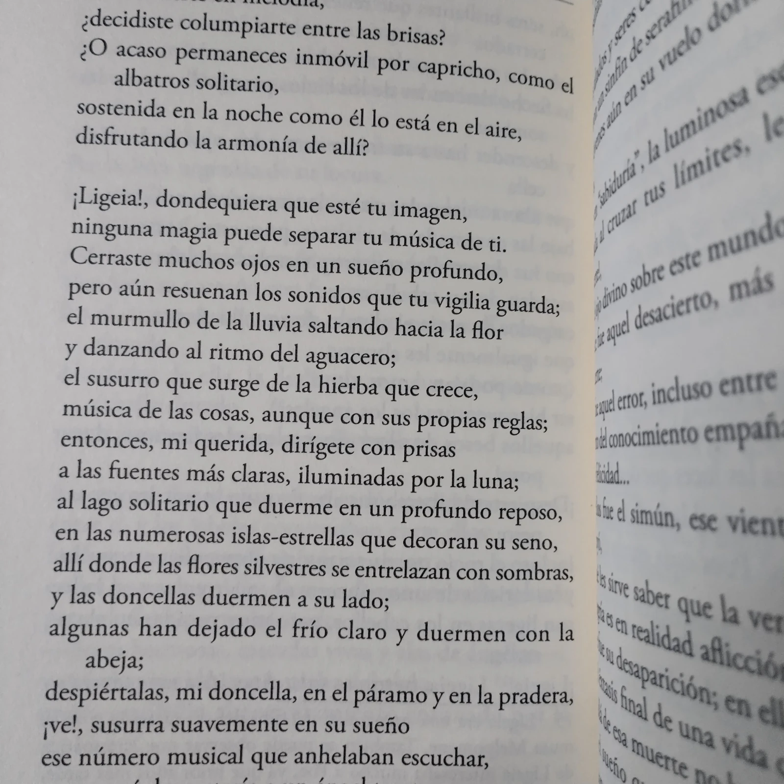 El cuervo y otros poemas, Edgar Allan Poe nuevo  4