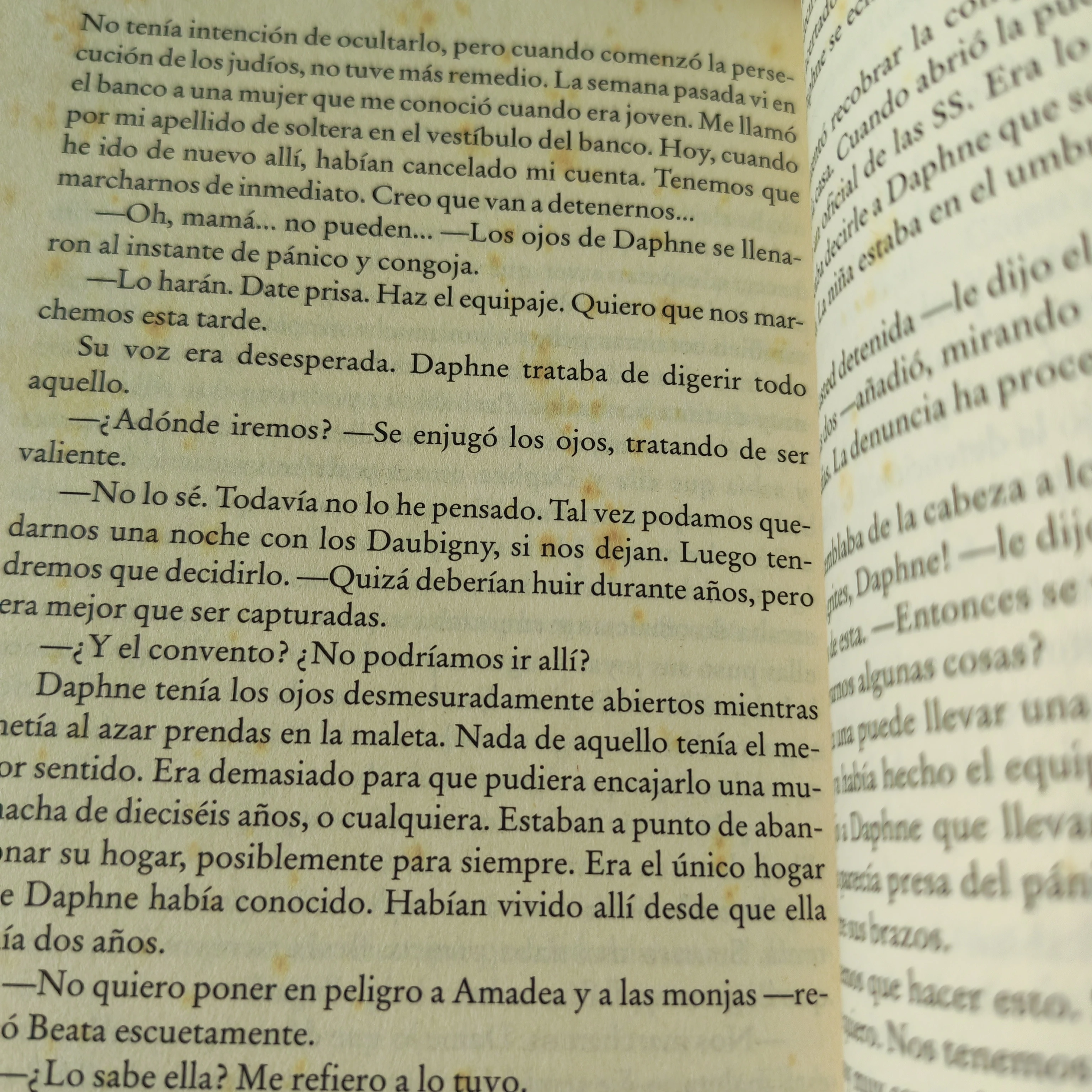 Ecos, Danielle Steel, usado 3