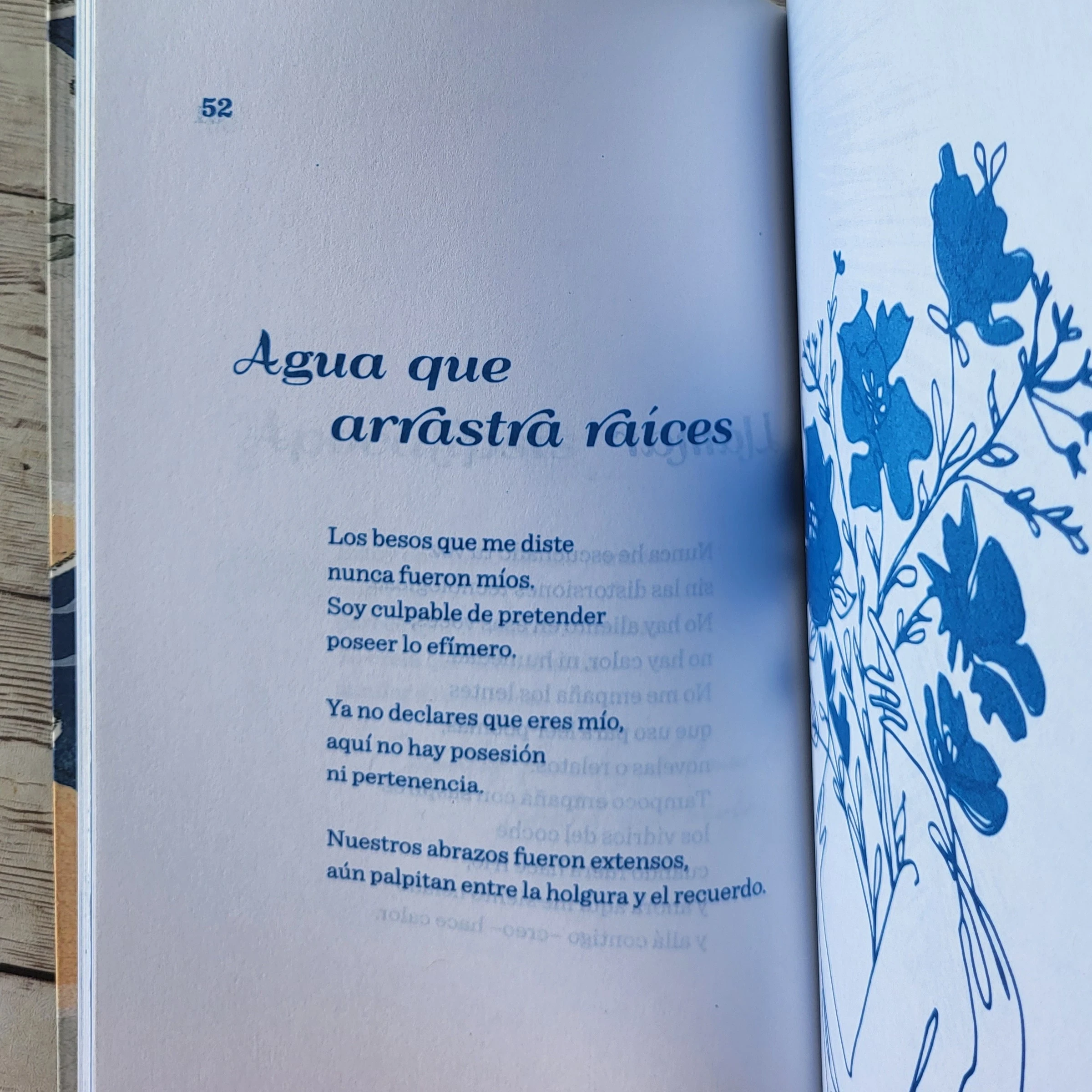 Todo lo que dejas cuando llegas y te vas / Alberto Villarreal / Poesia  3