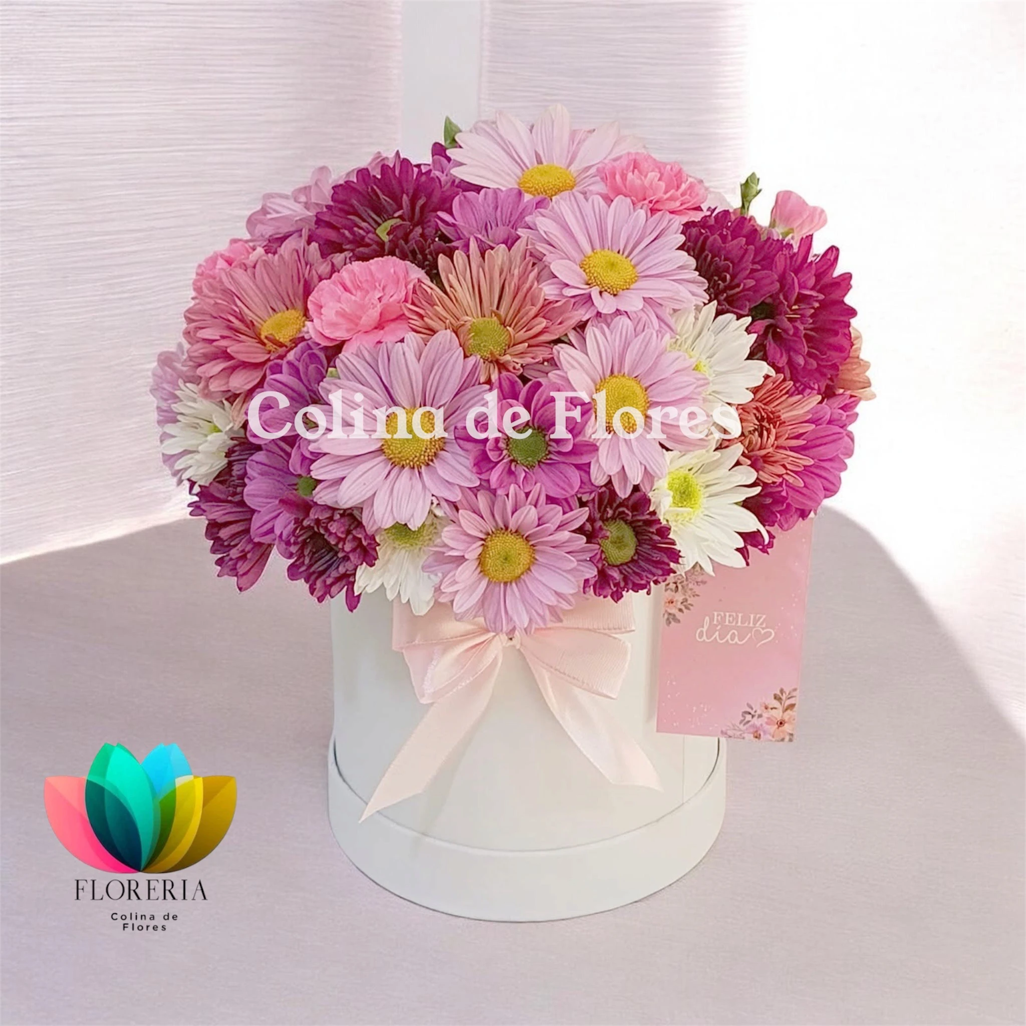 Box margaritas y claveles 