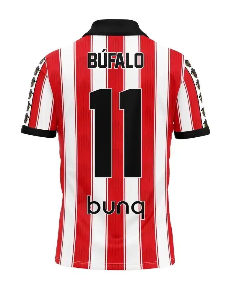 Camiseta algodón  2
