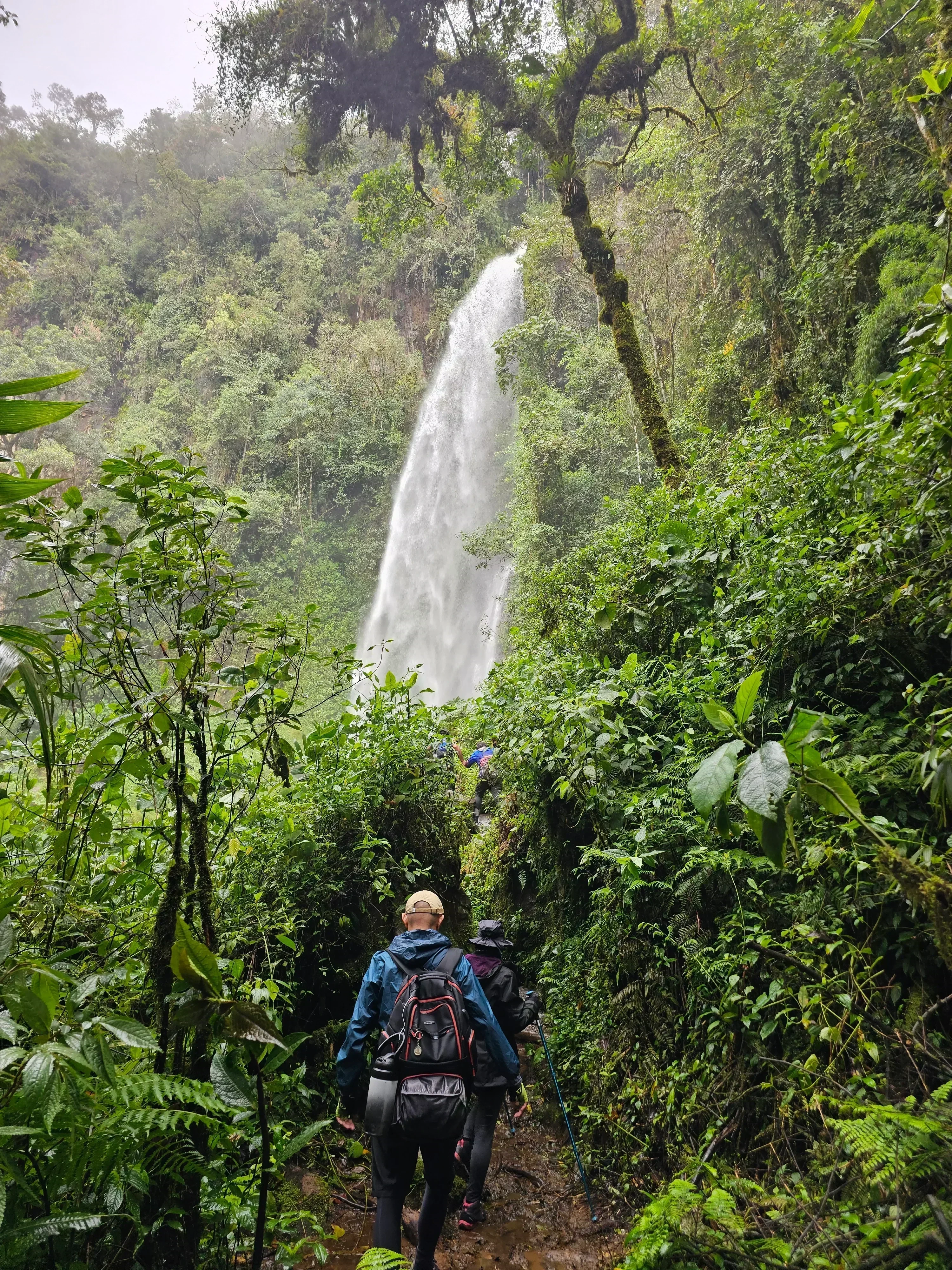 JARDÍN Y AVENTURA EN PASA DIA 6