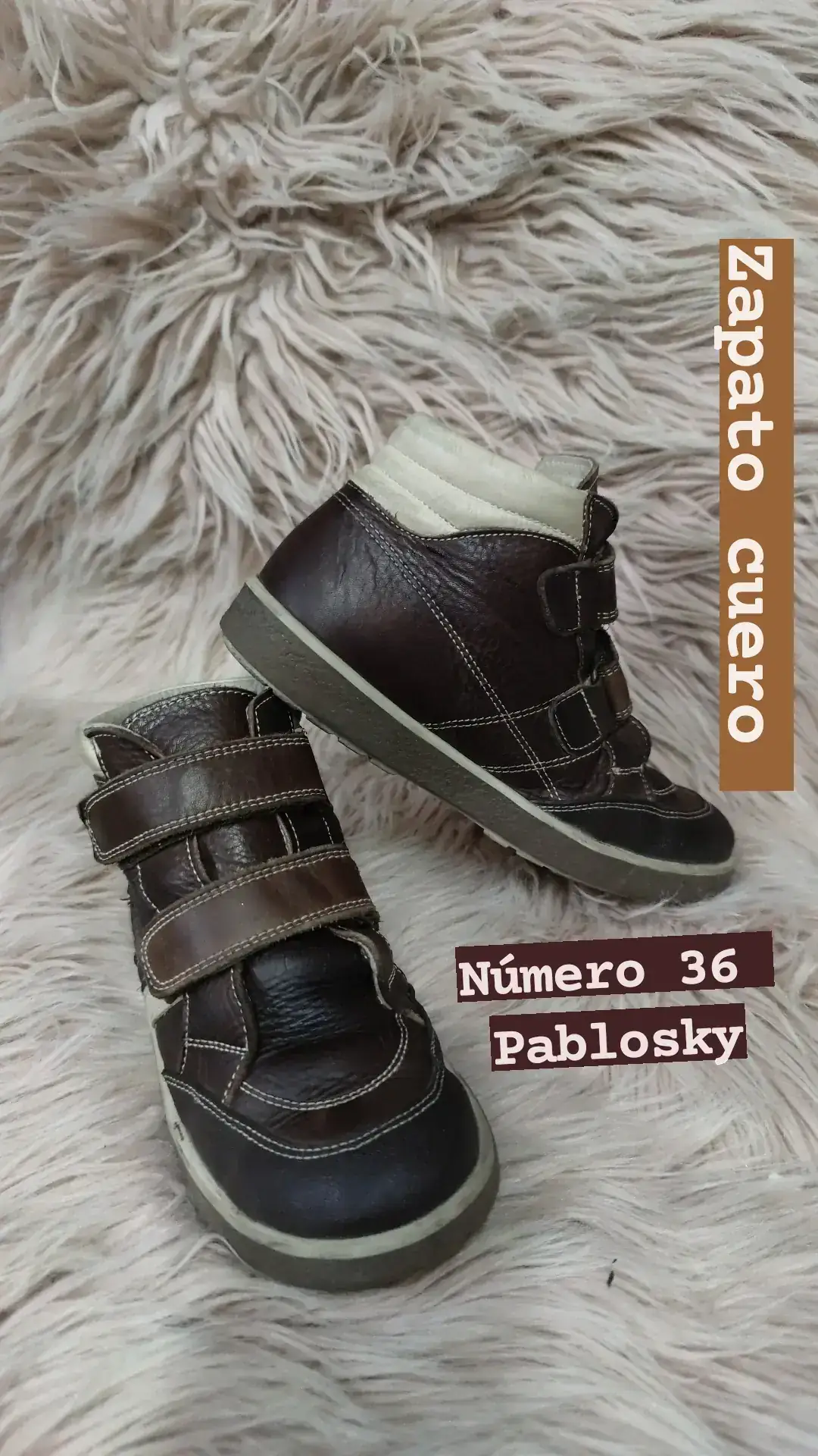 Botin N36 