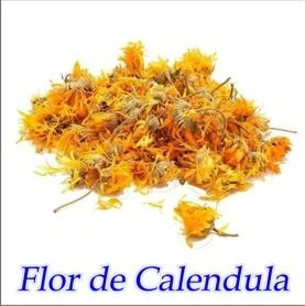 Flor de calendula