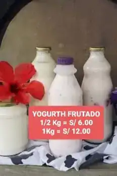 Yogurt Frutado