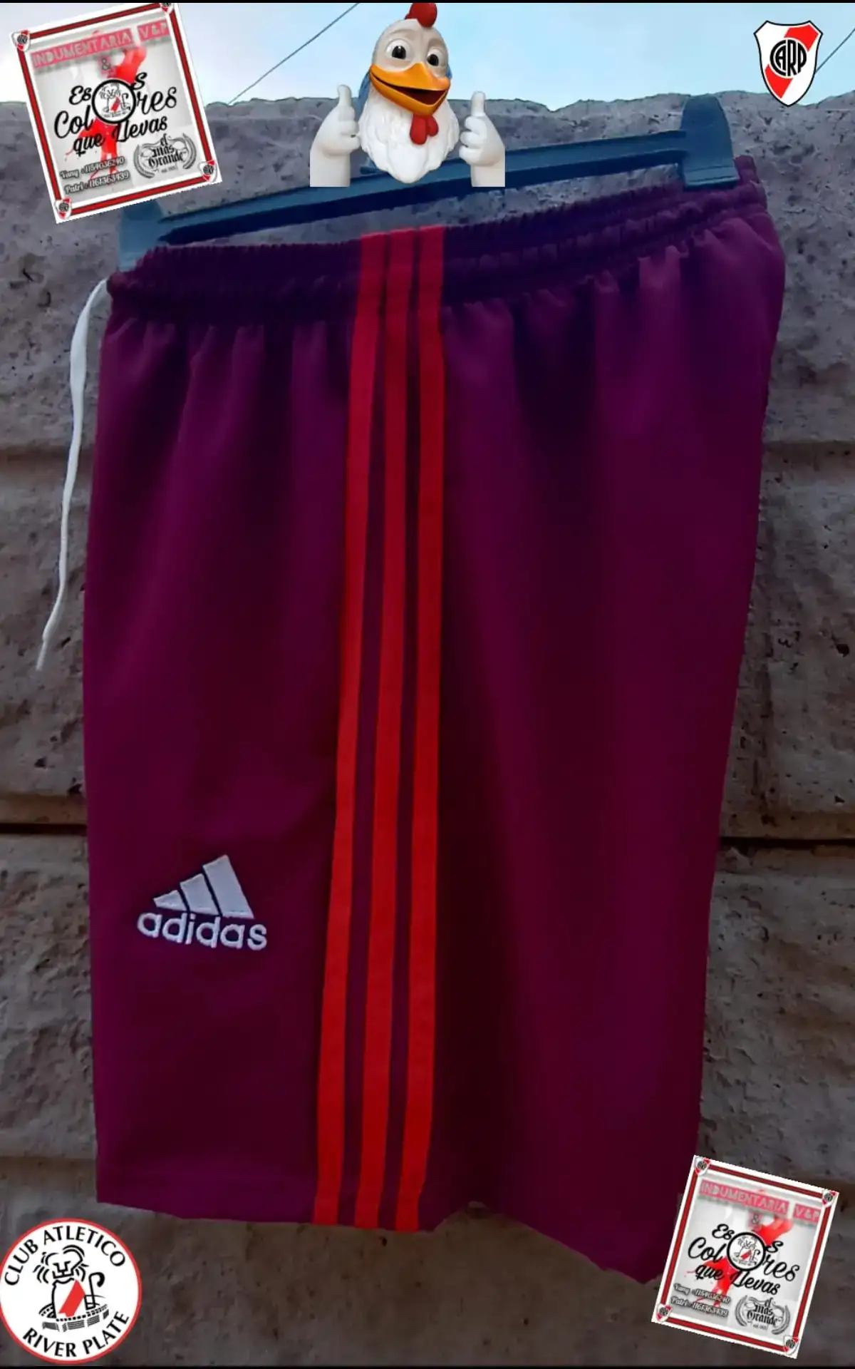 Conjunto Salida 2024 2