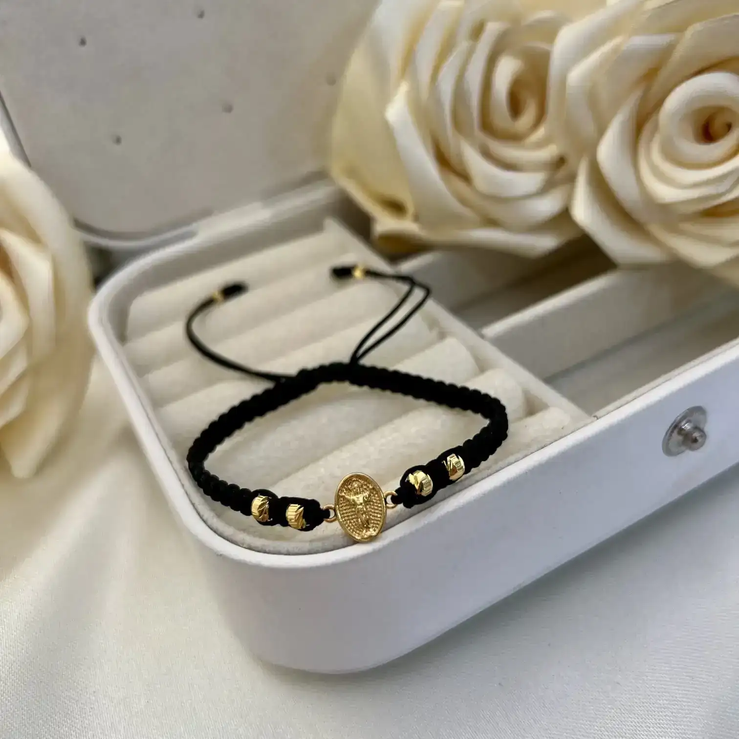 Ref069-23300