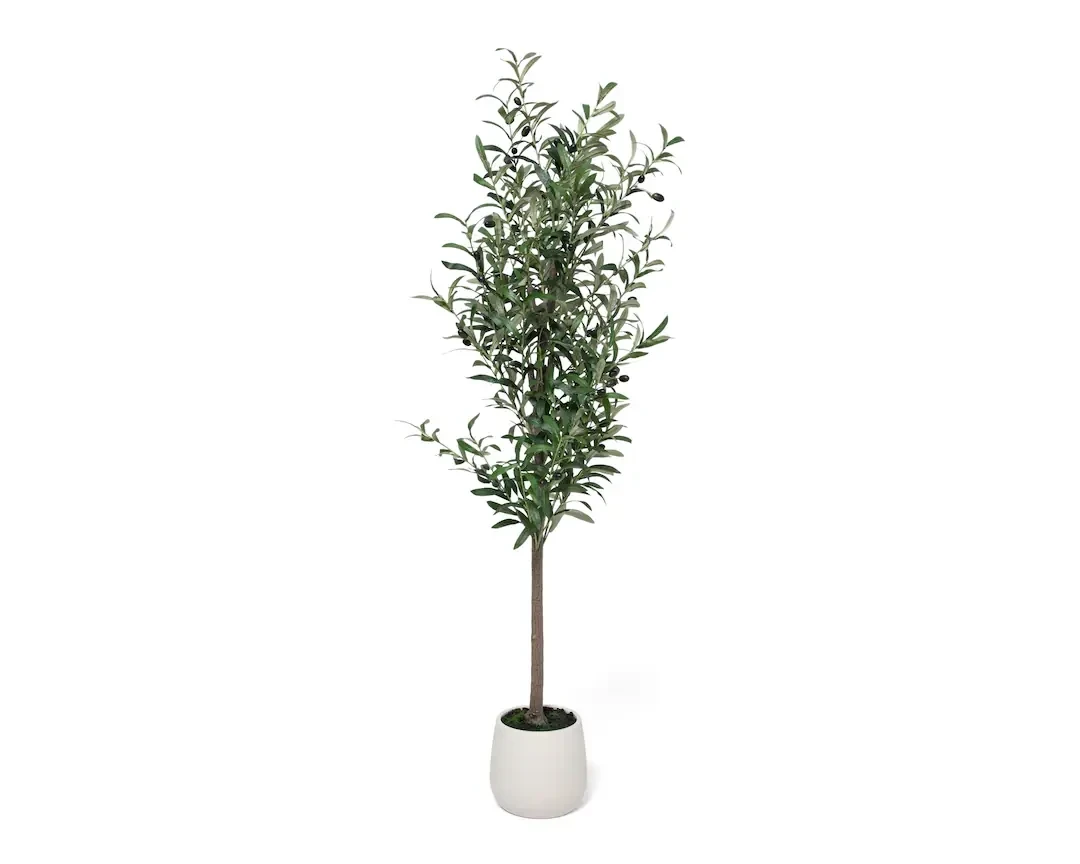 Planta De Olivo 150cm Artificial con Frutos
