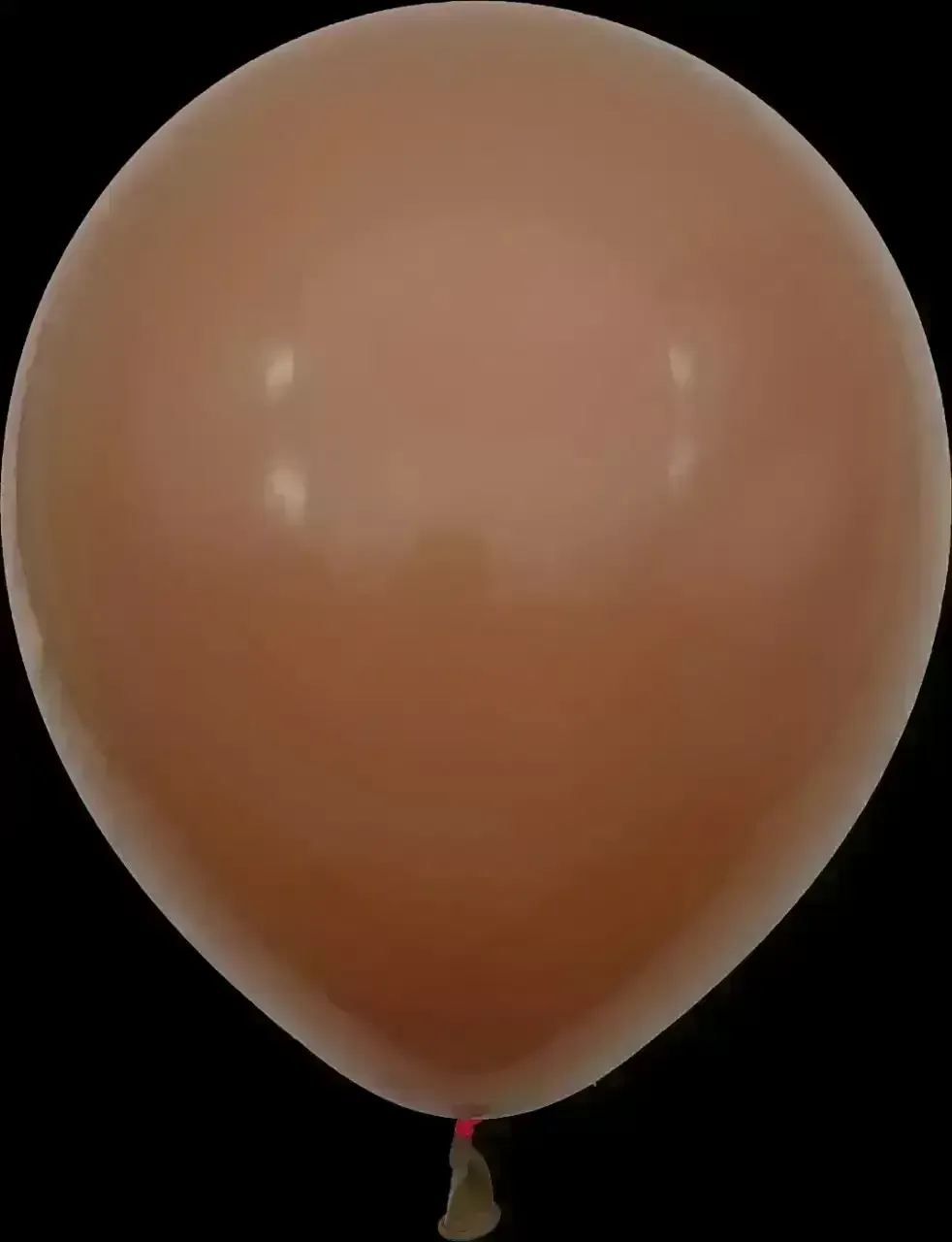 Globo latex nordico 10" x 50 unidades  4