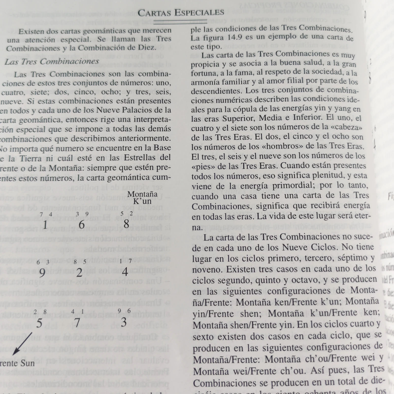 Libro completo de Feng Shui, Eva Wong, usado 3