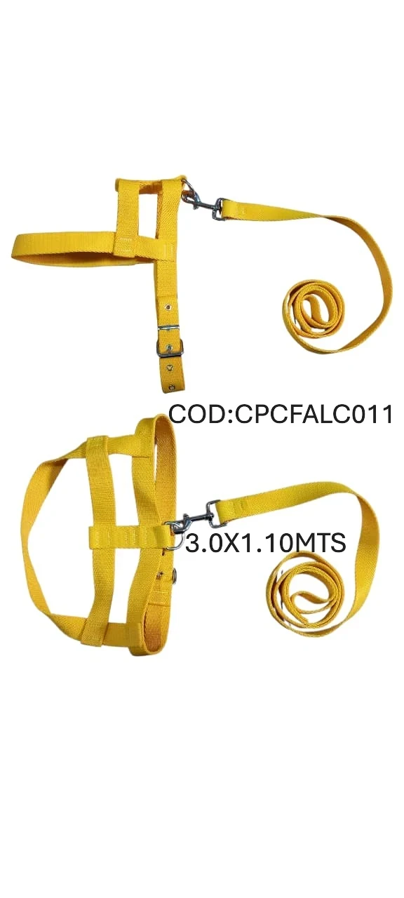 CONJUNTO T11 PRETAL FIJO+CORREA 