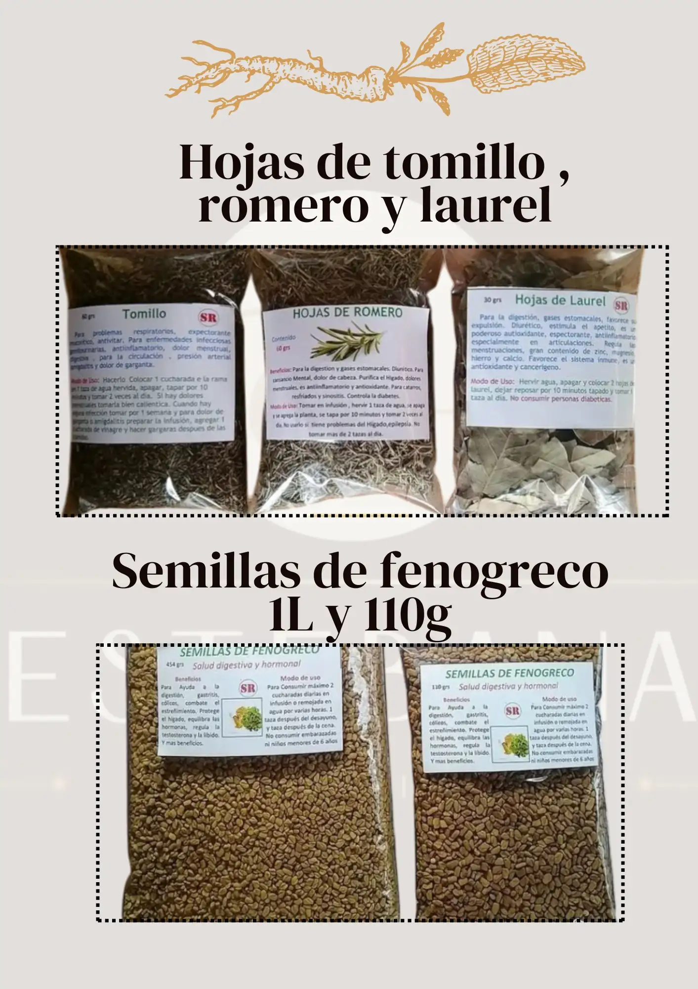 Hojas y semillas 